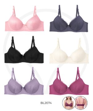 Brasier modelo 2074